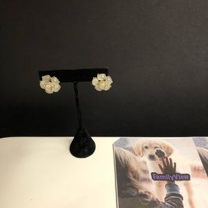 Earrings Women Jewelry